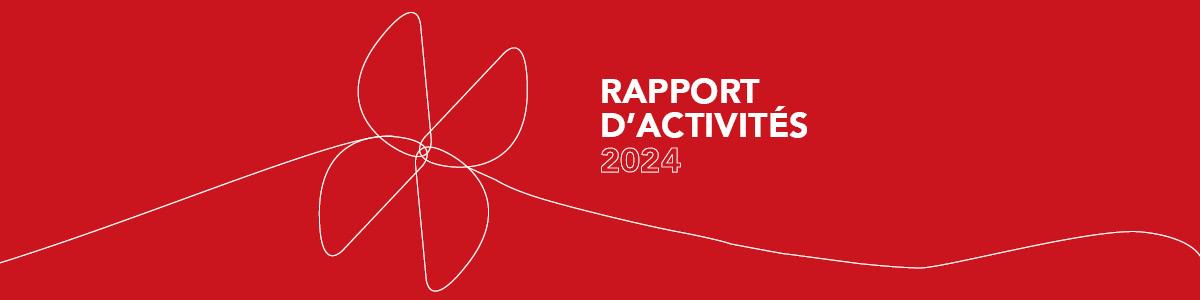 Rapport d'activités POUR LA SOLIDARITÉ 2024