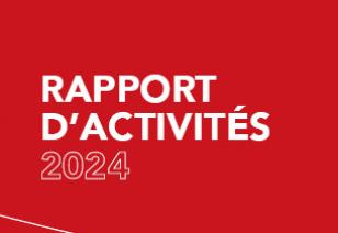 Rapport d'activités POUR LA SOLIDARITÉ 2024