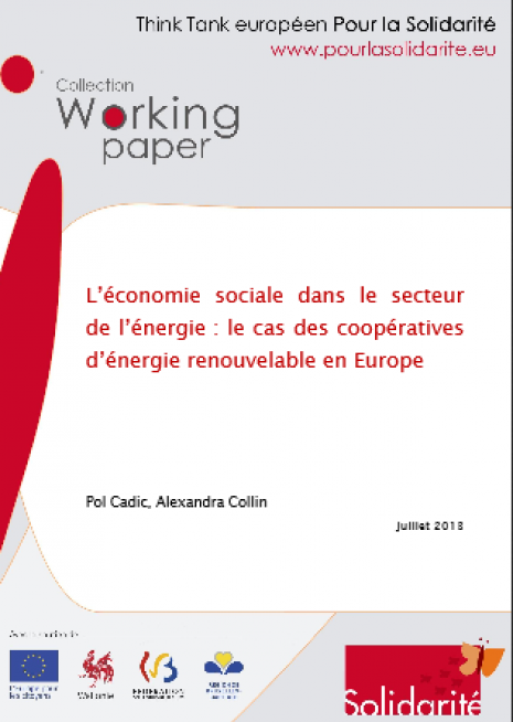 image couverture 1 . L’économie sociale dans le secteur de l’énergie : le cas des coopératives d’énergie renouvelable en Europe