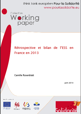 capture_bilan_ess_france_2013
