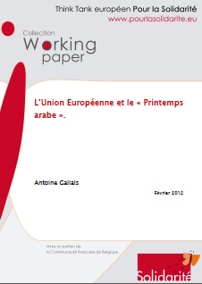 capture_printemps_arabe