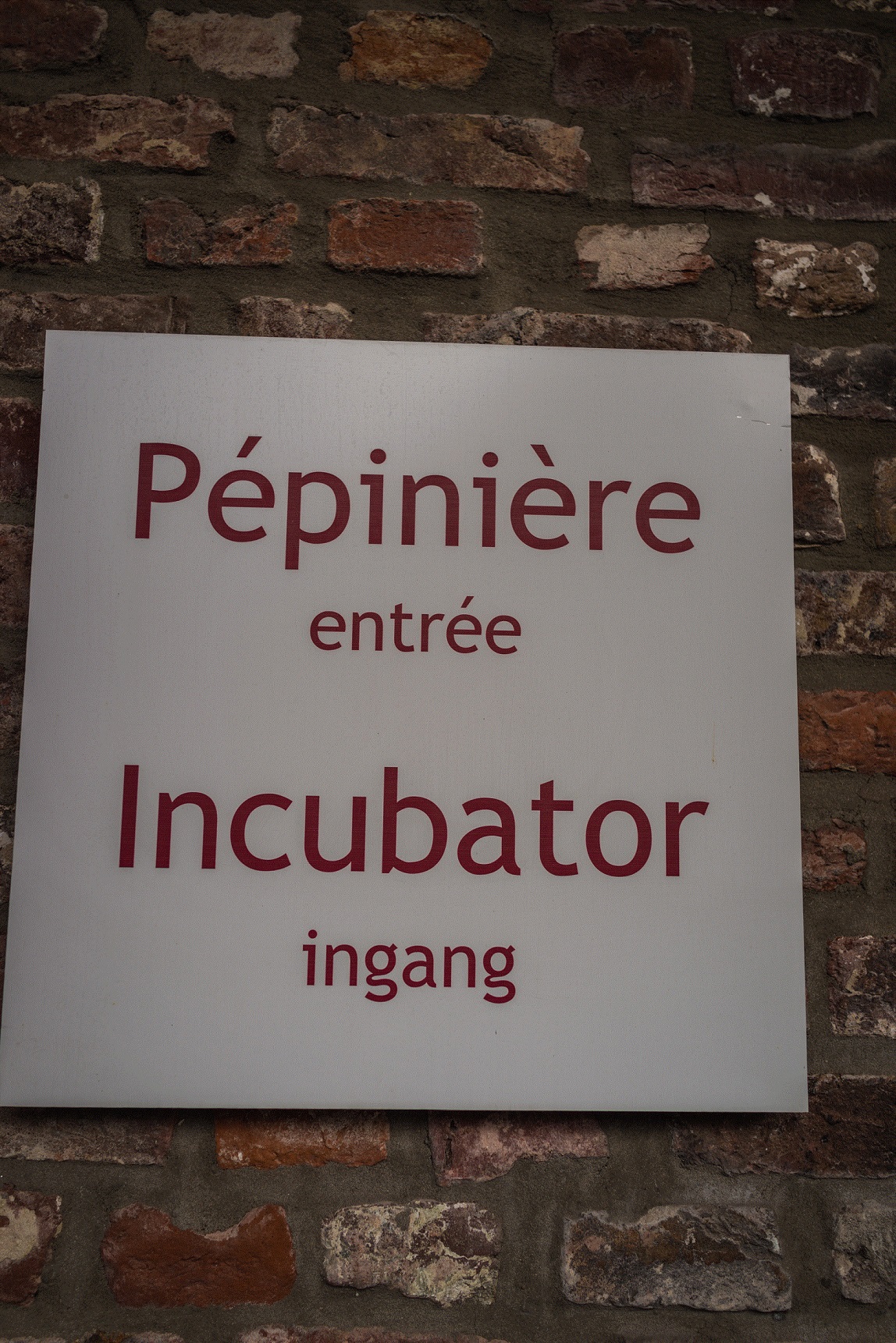 Pépinière