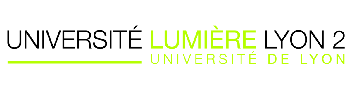 lyonlumiere